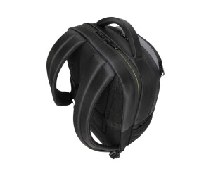 Targus Citygear 3 - Notebook backpack - 39.6 cm