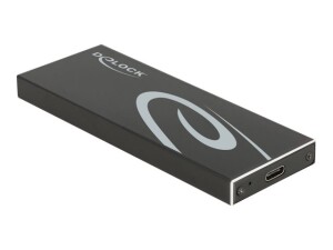 Delock Speichergeh&auml;use - M.2 - M.2 Card / SATA 6Gb/s...