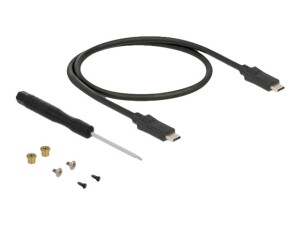 Delock Speichergeh&auml;use - M.2 - M.2 Card / SATA 6Gb/s...