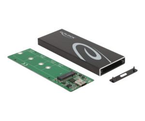 Delock Speichergehäuse - M.2 - M.2 Card / SATA 6Gb/s - USB 3.2 (Gen 2)