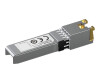 Netgear axm765v2 - SFP+-Transceiver module - 10 giges
