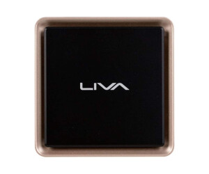EliteGroup LIVA Q3 Plus - Mini-PC - Ryzen Embedded V1605B...
