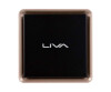Elitegroup Liva Q3 Plus - Mini -PC - Ryzen Embedded V1605B / 2 GHz