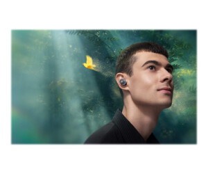 Anker Innovations Soundcore Liberty 3 Pro - True Wireless-Kopfhörer mit Mikrofon