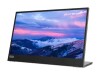 Lenovo L152 - LED-Monitor - 39.6 cm (15.6") (16" sichtbar)