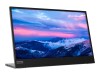 Lenovo L152 - LED-Monitor - 39.6 cm (15.6") (16" sichtbar)