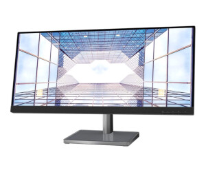 Lenovo L29w-30 - LED-Monitor - 73.7 cm (29")