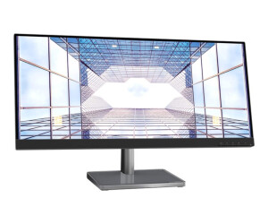Lenovo L29w-30 - LED-Monitor - 73.7 cm (29")