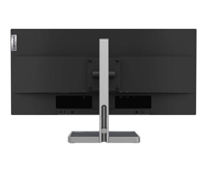 Lenovo L29w-30 - LED-Monitor - 73.7 cm (29")