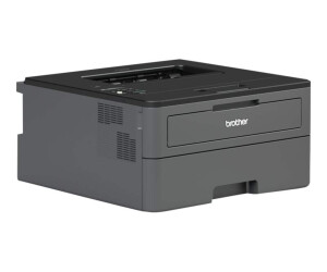 Brother HL -L2370DN - Printer - S/W - Duplex - Laser