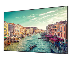 Samsung QM75R-A - 190 cm (75") Diagonalklasse QMR-A Series LCD-Display mit LED-Hintergrundbeleuchtung - Crystal UHD - Digital Signage - 4K UHD (2160p)
