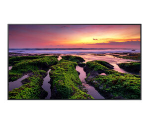 Samsung QB75B - 190 cm (75") Diagonalklasse QBB...