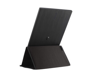 ASUS ZenScreen MB166C - LED-Monitor - 39.6 cm (15.6")