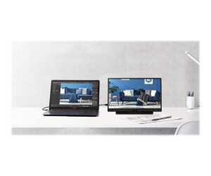 ASUS ZenScreen MB166C - LED-Monitor - 39.6 cm (15.6")