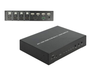 Delock 4 in 1 Multiview - KVM-/Audio-/USB-Switch