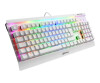 Sharkoon Skiller SGK3 - keyboard - backlight