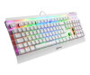 Sharkoon Skiller SGK3 - Tastatur - Hintergrundbeleuchtung