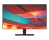 Lenovo ThinkVision P27q-20 - LED-Monitor - 69 cm (27")