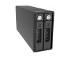 ICY BOX RAIDON SafeTANK GR3660-BA31 - Festplatten-Array - 2 Schächte (SATA-600)