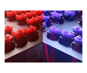 Razer Huntsman V2 - Tastatur - Hintergrundbeleuchtung