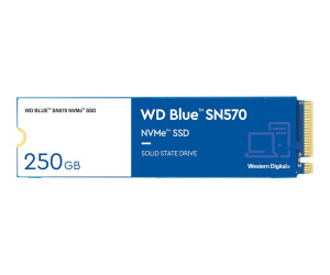 WD Blue SN570 NVMe SSD WDS250G3B0C - SSD - 250 GB -...