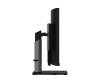 Lenovo ThinkVision P40w-20 - LED-Monitor - gebogen - 101.6 cm (40")