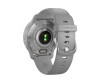 Garmin Venu 2 Plus - 43 mm - Powder Gray - sports watch with band - silicone - Powder Gray - wrist size: 125-190 mm - display 3.3 cm (1.3 ")