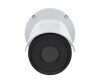 Axis Q1951 -E - Thermo network camera - outdoor area - Vandalismusproof / weather -resistant - color (day & night)