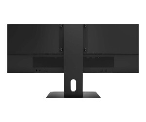 Lenovo ThinkVision E29w-20 - LED-Monitor - 73.7 cm (29")