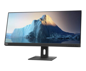 Lenovo ThinkVision E29w-20 - LED-Monitor - 73.7 cm (29")