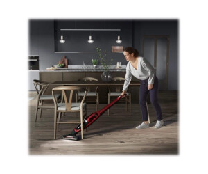 AEG QX7-ANIM - Staubsauger - Stange kurz/Handgerät (2-in-1)