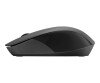 HP 150 - mouse - for right -handed - optically - 3 keys - wireless - 2.4 GHz - wireless receiver (USB)