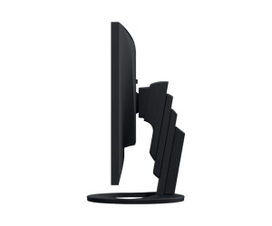 EIZO FlexScan EV2485-BK - LED-Monitor - 61.1 cm (24.1")
