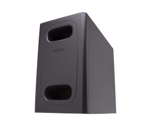 QSC Acousticdesign ad -s.sub - subwoofer - 100 watts -...