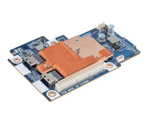 Gigabyte CRAO338 (rev. 1.0) - Speichercontroller (RAID)