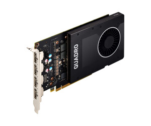 PNY NVIDIA Quadro P2200 - Grafikkarten - Quadro P2200