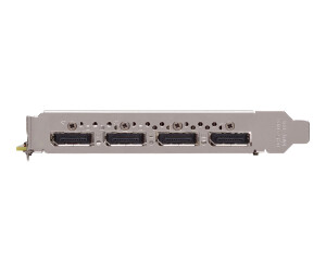 PNY NVIDIA Quadro P2200 - Grafikkarten - Quadro P2200