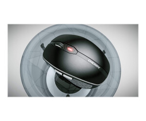 Cherry MW 8c Advanced - Mouse - ergonomically - optically - 6 keys - wireless - 2.4 GHz, Bluetooth 4.0 - Wireless recipient (USB)