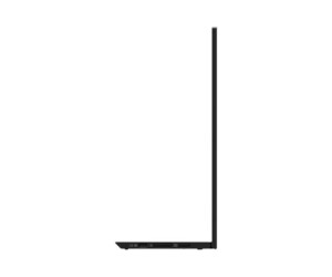 Lenovo ThinkVision M15 - LED-Monitor - 39.6 cm (15.6")