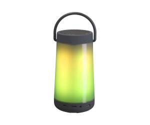 Inter Sales DENVER BTL-311 - Lautsprecher - tragbar - kabellos