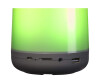 Inter Sales DENVER BTL-311 - Lautsprecher - tragbar - kabellos
