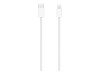 Apple Magic Keyboard with Touch ID - Tastatur