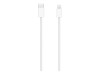 Apple Magic Keyboard with Touch ID - Tastatur