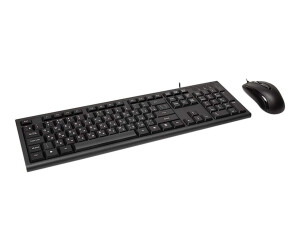 Inter-Tech KM-3149R - Tastatur-und-Maus-Set - USB