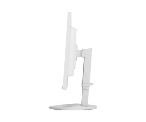 NEC MultiSync EA242F - LED-Monitor - 60.47 cm (23.8")