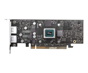 AMD Radeon Pro W6400 - Grafikkarten - RDNA 2