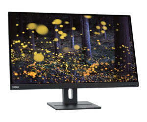 Lenovo ThinkVision E27q-20 - LED-Monitor - 69 cm (27")