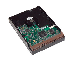 HP hard drive - 1 TB - internal - 3.5 "(8.9 cm)