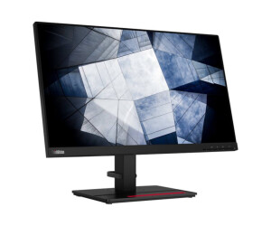 Lenovo ThinkVision P24h-2L - LED-Monitor - 61 cm (24")