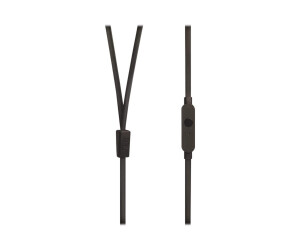 JBL T210 - Ohrhörer mit Mikrofon - im Ohr - kabelgebunden